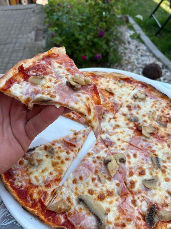 H@M Penzion Žlutice المظهر الخارجي الصورة